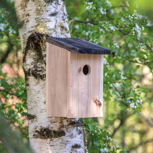 Eco-friendly birdhouse wood - Image 6